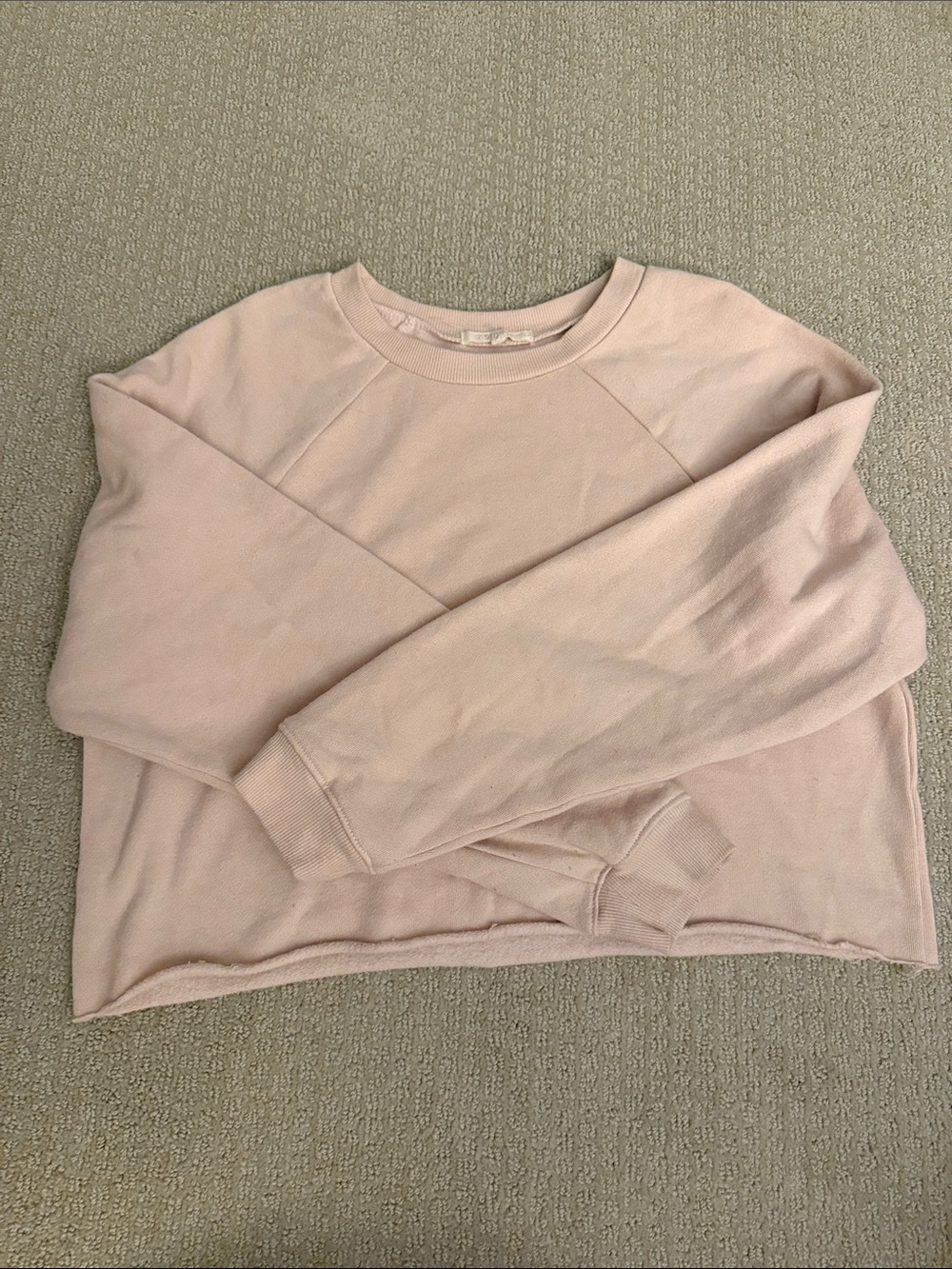 Z Supply Blush Crewneck Sweatshirt
